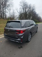 2026 Honda Odyssey Touring FWD