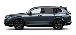 Jenkins and Wynne Honda in Clarksville TN